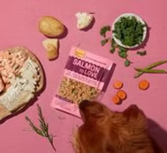 A Butternut Box pouch of dog food surrounded by various food ingredients