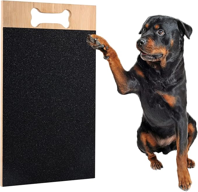 A Rottweiler with one paw against a dog nail board