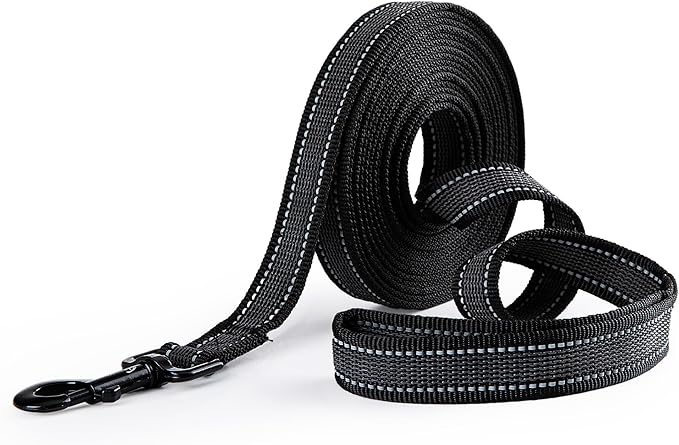 A long black lead